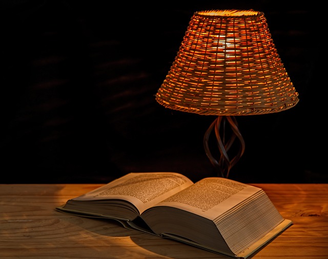 Den ultimative guide til at vælge den perfekte lampeskærm til dit hjem